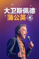 大卫·斯佩德：蒲公英