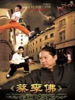 蔡李佛极限拳速