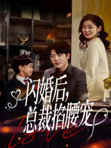 闪婚后总裁掐腰宠