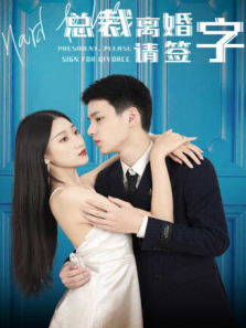 总裁离婚请签字