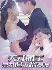天才萌宝总裁追妻路漫漫