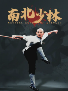 南北少林