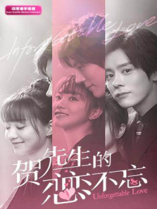 贺先生的恋恋不忘印尼语字幕版
