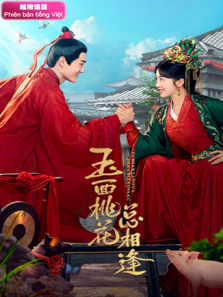 玉面桃花总相逢越南语版