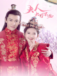 夫人大可不必印尼语字幕版