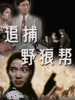 追捕野狼帮