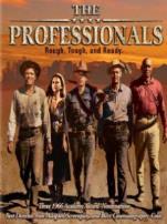 职业大贼译制字幕版