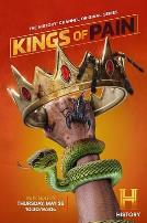 疼痛之王第二季