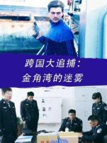 跨国大追捕金角湾的迷雾