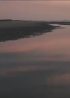 两个爸爸的故事​