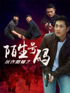 反诈风暴之陌生号码