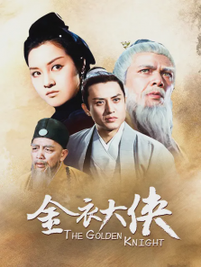 金衣大侠