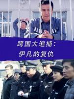 跨国大追捕伊凡的复仇