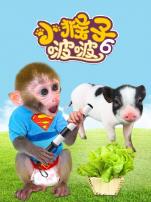 小猴子啵啵第6季