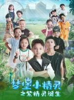 梦堡小精灵之紫精灵诞生