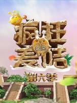 疯狂的麦咭第6季