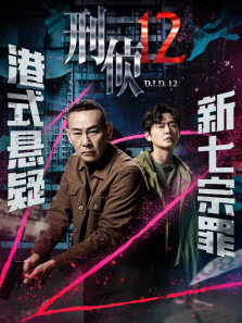 刑侦12粤语版