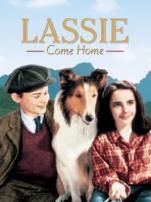 灵犬莱西译制配音版