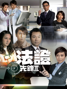 法证先锋3粤语版