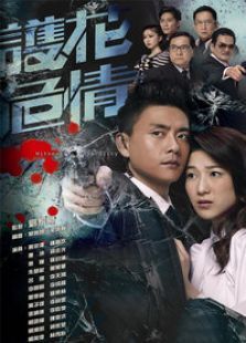 护花危情国语版