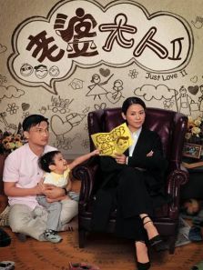 老婆大人2粤语版