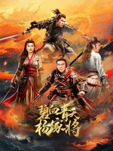 碧血青天杨家将