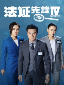 法证先锋4普通话版