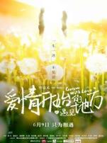 爱情开始的地方之遇见