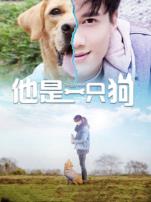 他是一只狗