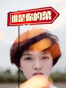 谁是你的菜2015