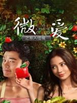 微爱之渐入佳境