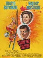 偷恋隔墙花译制配音版