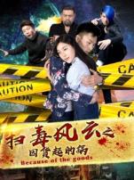 扫毒风云之因货起的祸