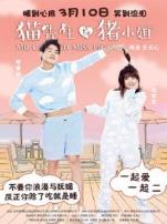 猫先生与猪小姐