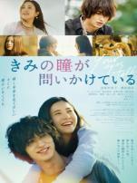 你的眼睛在追问