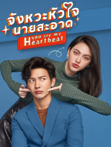 狐狸的夏天泰语版