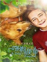 一条狗的使命国语版