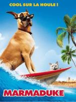 大丹麦狗马默杜克