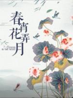 春宵花弄月