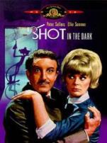 黑夜怪枪译制字幕版