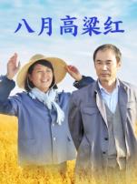 八月高粱红