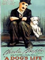 狗的生活微电影