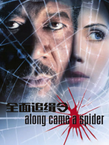 全面追缉令普通话