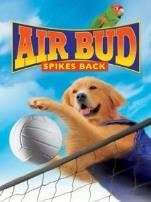 飞狗巴迪5排球健将国语