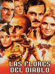 罂粟也是花译制字幕版