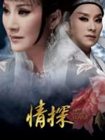 情探2017