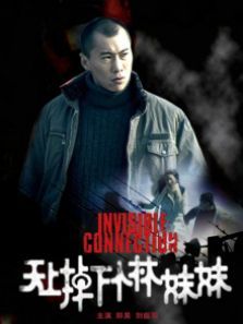 天上掉下个林妹妹