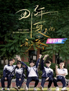 那年夏天的秘密电影版