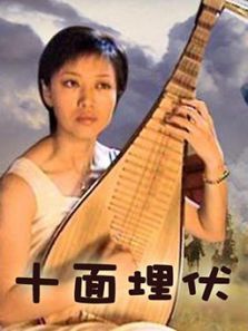 十面埋伏电视电影