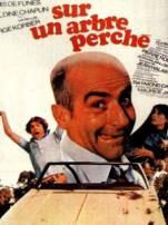 落在树梢译制配音版